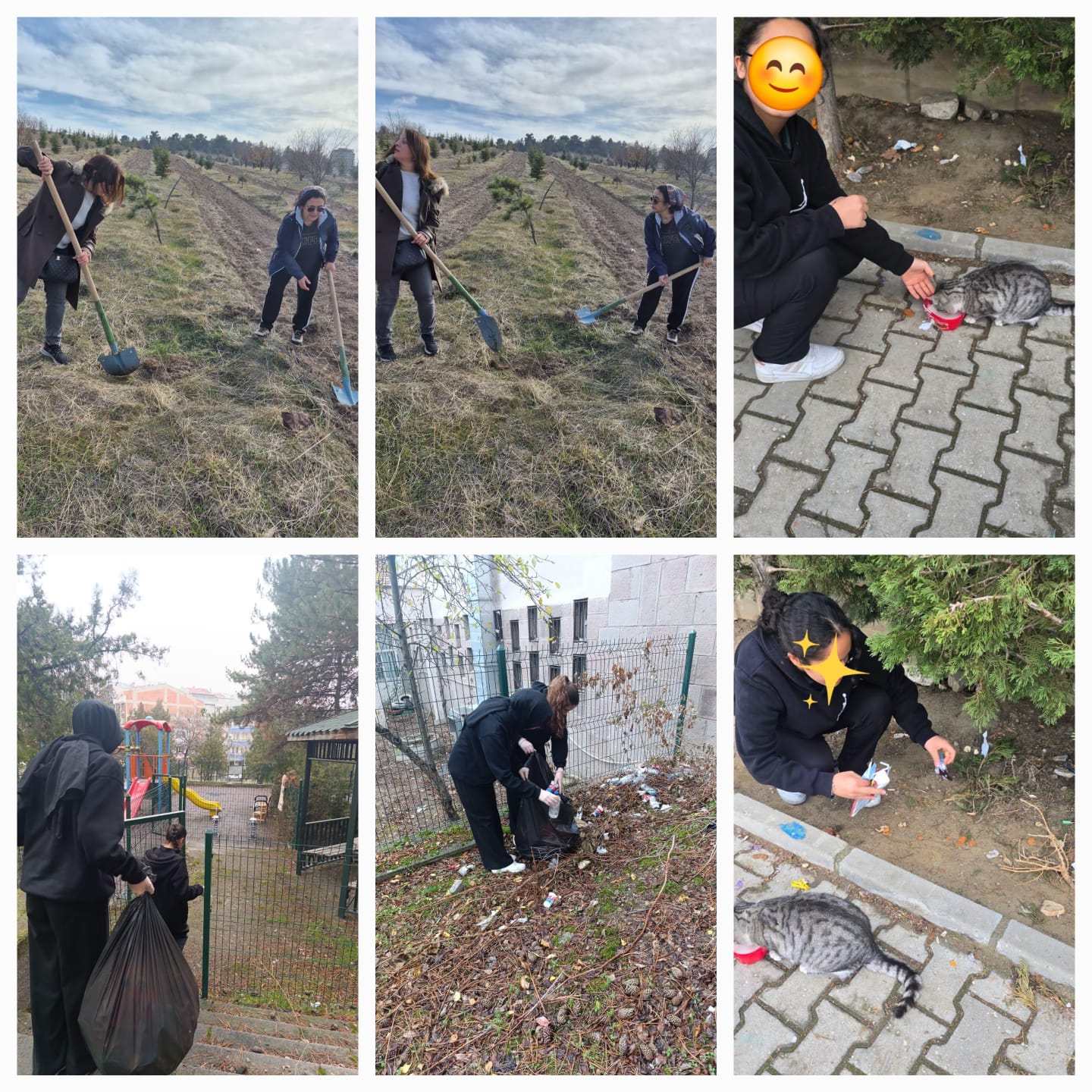 Proje